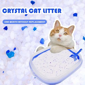 [Hot Item] Absorbent Bulk Silica Gel Crystal Cat Litter Sand