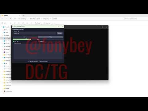 VALORANT FULL CAPTURE CHECKER | GUI