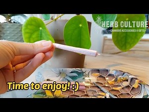 How to Roll a Perfect Joint (Beginner Technique)