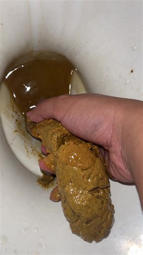 biggest log from public toilet farming