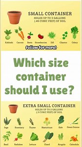 Container sizes are not standardized and often use different types of...