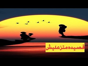 قصيده متزعليش للشاعر هشام الجخ #لاتنسوا_الاشتراك_في_القناة_وتفعيل_الجرس