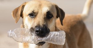 Revolucija u reciklaži plastike