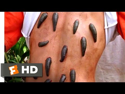Anacondas 2 (2004) - Bloodsucking Leeches Scene (2/10) | Movieclips