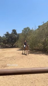 Booboo Stewart Fanpage on Reels