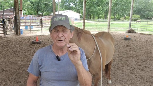 Ur the college professor So does your horse get their degree | Eddie Landers-Horses