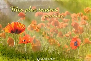 ❤️❤️❤️❤️ | Mon Papa, un Ange, une Etoile dans le ciel.