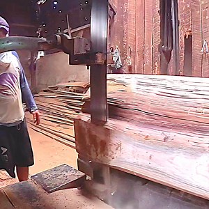 12K views · 317 reactions | Close up sawing giant wood using sawmill machine | Sawmill & Woodworking | Facebook
