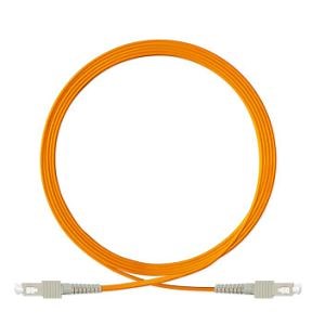 [Hot Item] Sc -Sc Multimode Simplex Fiber Optic Patch Cord