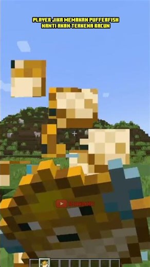5 FAKTA MENARIK TENTANG PUFFERFISH DI MINECRAFT🐡😱 - Fakta Unik Minecraft Indonesia