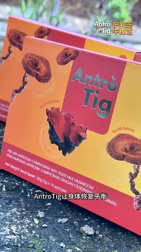 913 reactions · 187 shares | 三天两夜里，我们从海岛玩到山顶——...