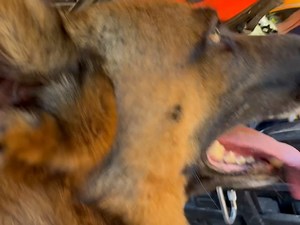 Anaheim Fire And Rescue on Reels | Facebook