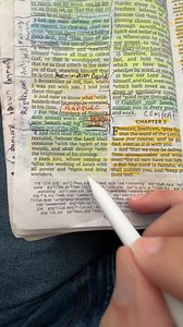 Tobias Rene on Reels