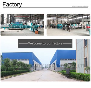 [Hot Item] Waste Paper Recycled Egg Tray Making Machine