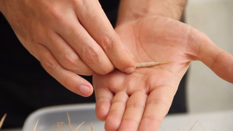 How to plant broccoli in April and save seeds correctly