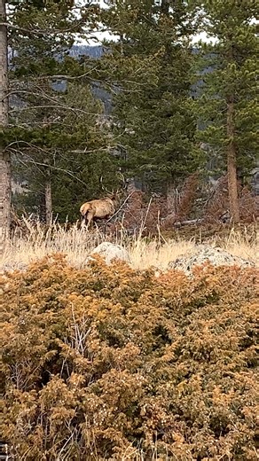 Veronica Monet on Reels