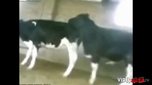 Un accouplement qui dérape.