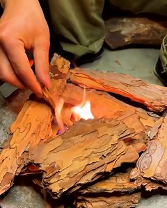 Making natural ink from tree bark! 😲 | MetDaan Fitness