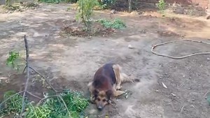 bahar wale vehdey di saaf Kive Rakhde Aa Asi | Kawal Sandeep vlogs