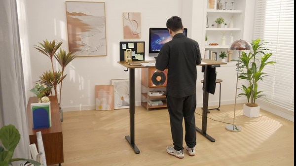 ErGear Electric Standing Desk Adjustable Height with Storage Bag,55 x 24 Inches Sit Stand up Desk, Memory Computer Home Office Desk with Cable Management Tray,DIY Bulletin Board (Black)