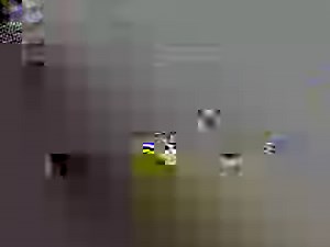 Lawak jepun NINJA.! 😀 | Video Lawak Antarabangsa