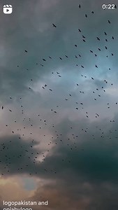 LOGO Pakistan on Reels