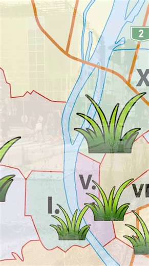 Itt a nagy budapesti gyomtérkép!