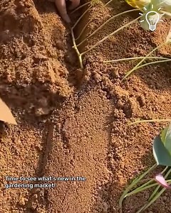 The Best Gardening Tools 🌳👩‍🌾 | Things Easier