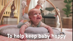 Ingenuity Premium Soft Mini Bean Bag Plush, Farrow the Hedgehog, Ages Newborn and up.