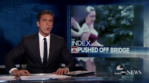 The suspect in 'Girl being pushed off bridge' has been identified