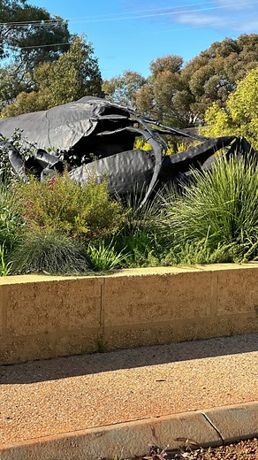 Capel Marron Farm, nestled amidst picturesque south Western Australia, is a paradise for lovers of exceptional produce. This farm is known for its dedication to sustainable farming practices and their unique Marron delicacy that has been tantalising taste buds far and wide. Witnessing firsthand the care and attention that goes into cultivating these exquisite Marron, Chef Shannon’s passion for farm-to-table dining shone through as he gained further insights into the meticulous selection process 