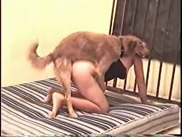 A slut forced to fuck with a dog.