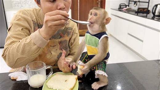 34K views · 866 reactions | Baby Very Yummy Snack Bread & Hot Milk At Afternoon | Monkey Daily | Facebook