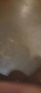 1.9K views · 25 reactions | Big Boi Romeo Howling the back room! | DC Shiba Inu Rescue (DC SIR) | Facebook