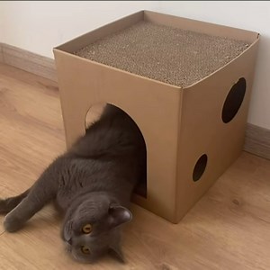 Corrugated Cardboard Cat House & Scratcher for Indoor Cats with Hammock Cat Scratching House,Scratching Pad, Cat House,Cat Scratching House (Brown)
