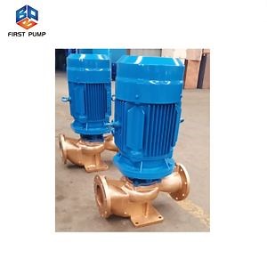 [Hot Item] 2 Inch Booster Inline Water Pump Vertical Inline Water Supply Pump