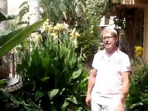 Clothing Optional at the Palm Springs Resort for Gay Men: The Triangle Inn