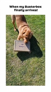 Who else can relate 🤣 | BusterBox