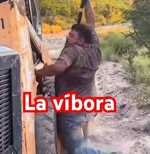 La víbora #gracioso