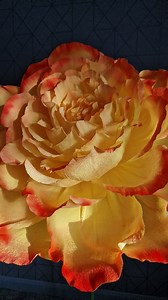 2.6K views · 78 reactions | Grand Flora Uk on Reels | Facebook