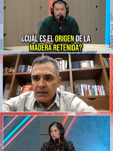 Origen de la madera retenida en operativo de Chile