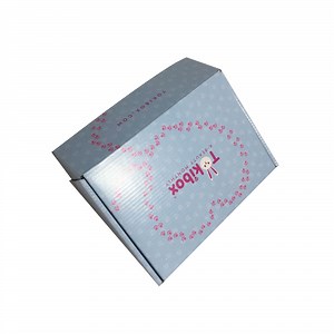 [Hot Item] Custom Offset Printing Paper Carton Packaging Box