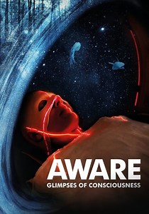 Regarder Aware, comprendre la conscience en streaming