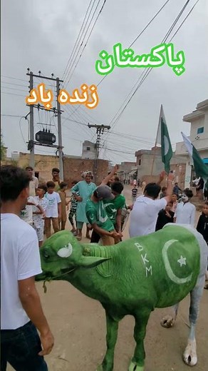🇵🇰 Azadi Celebration 2025 | Pakistan Zindabad | 14 August Parade #pakistanindependenceday #bkmboys