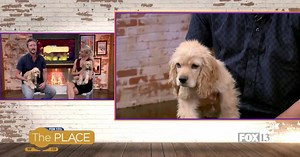 Miller and Oakley were rescued from a puppy mill