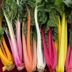 [Hot Item] Beta Vulgaris, Beetroot Seeds, Chard Mixed Seeds