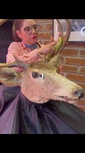 The BarberShop Mexico 💈✂️🦌 | The Barber Shop Mexico