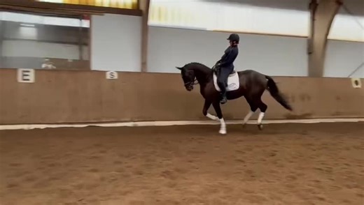 Reitstall Kruse on Reels