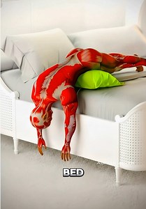 Simple Bed Stretch for Sciatica & Hip Pain
