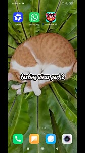 Testing Virus Part 2: Android Virtual Master